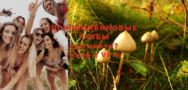 спиды Иннополис
