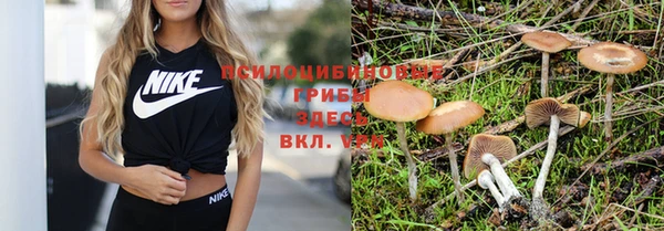 синтетический гашиш Инта