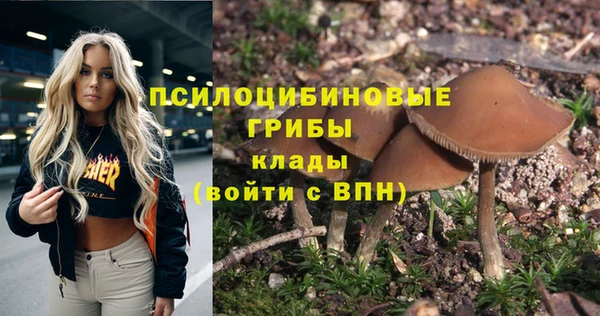 МДМА Инсар