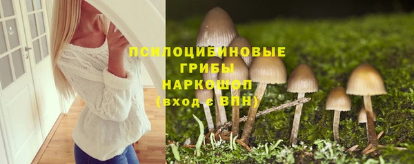 прущие крисы Зеленодольск