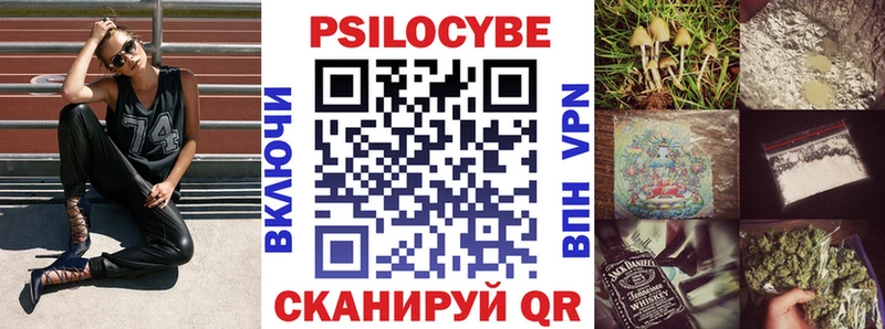 закладка  Михайловка  Псилоцибиновые грибы GOLDEN TEACHER 